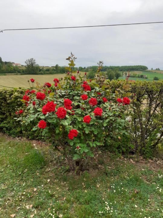 Gite de La Cheneraie Montpezat-de-Quercy Exterior foto
